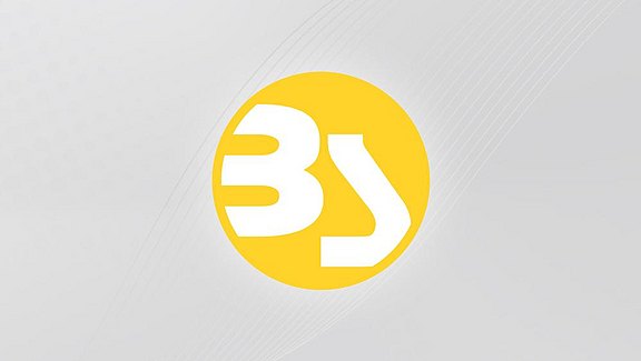 BauStatik-Logo - ein gelber Kreis mit den weißen Buchstaben B und S. Hier ist es auf einem rechteckigen grauem Hintergrund abgebildet.  